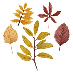 Free book club clipart of fall leaves